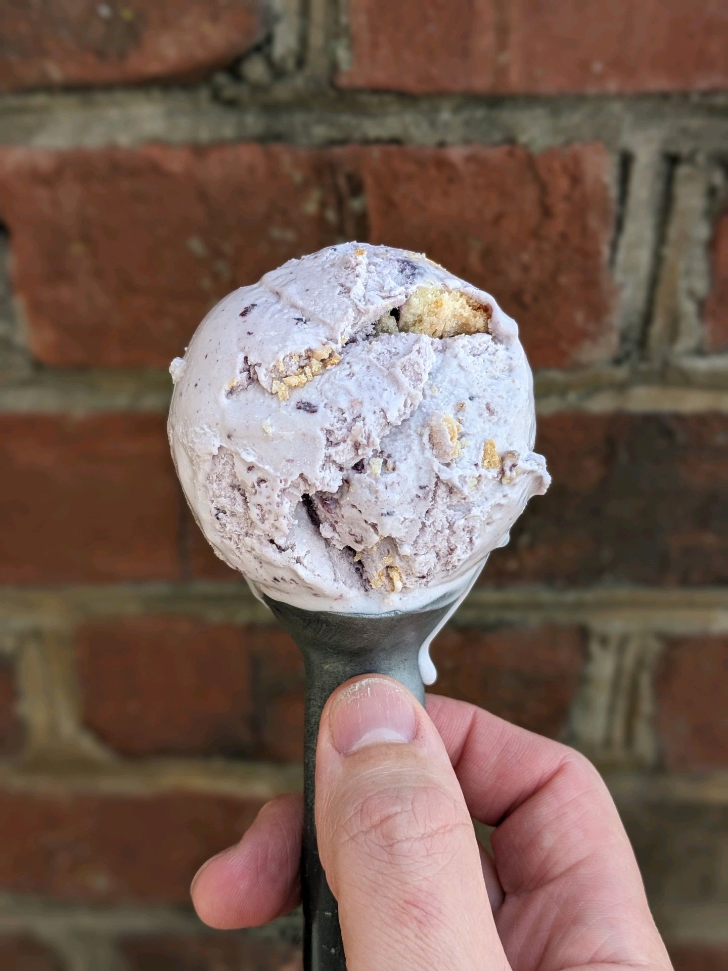 Purple ice cream, chunks of pie crust and blueberries mixed in. Ball of ice cream on an ice cream scoop with a brick wall in the background